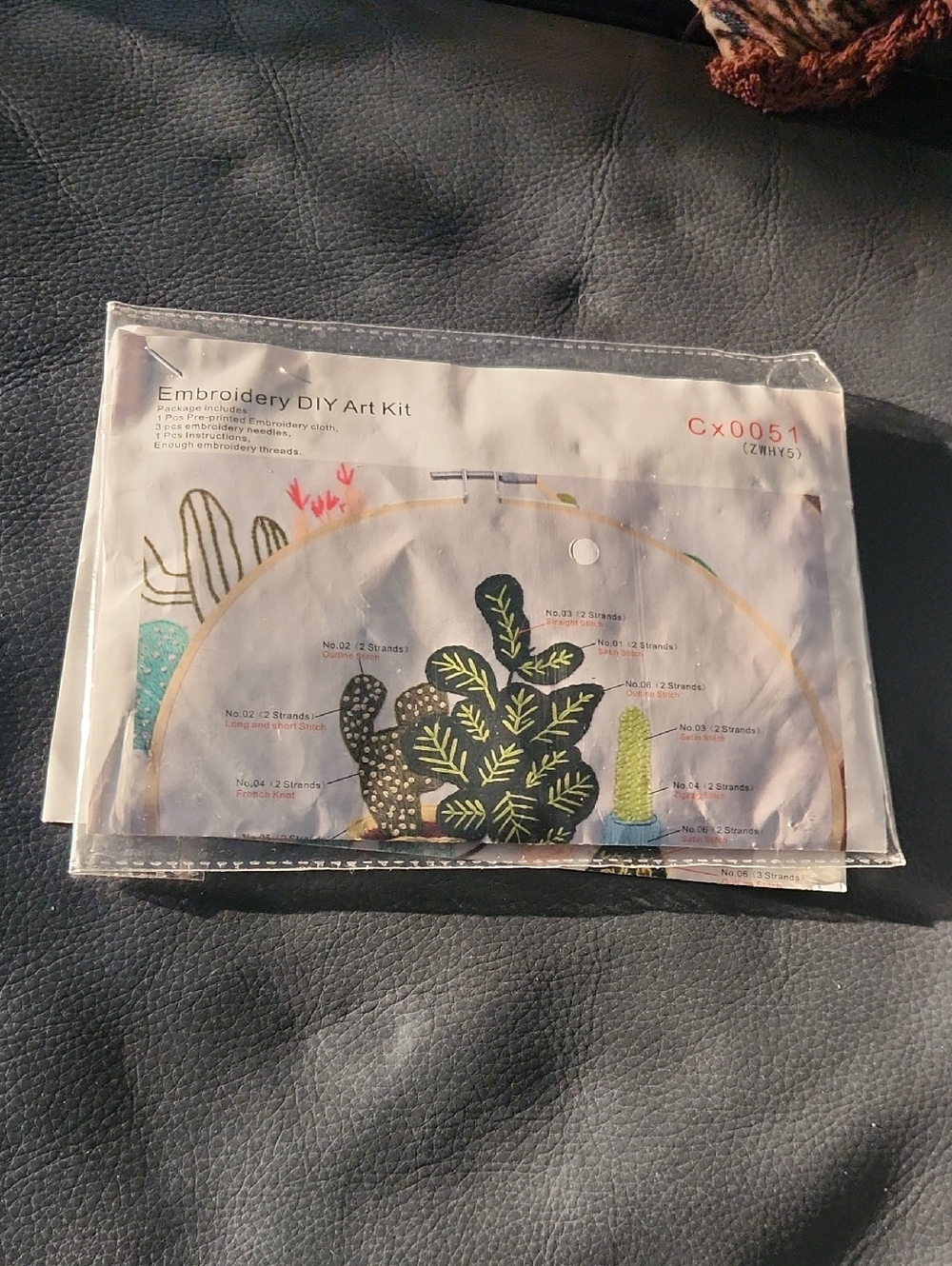 Embroidery DIY Art Kit Cx0051 (ZWHY5) Cactus Plants Desert.